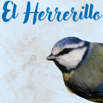 shop logo